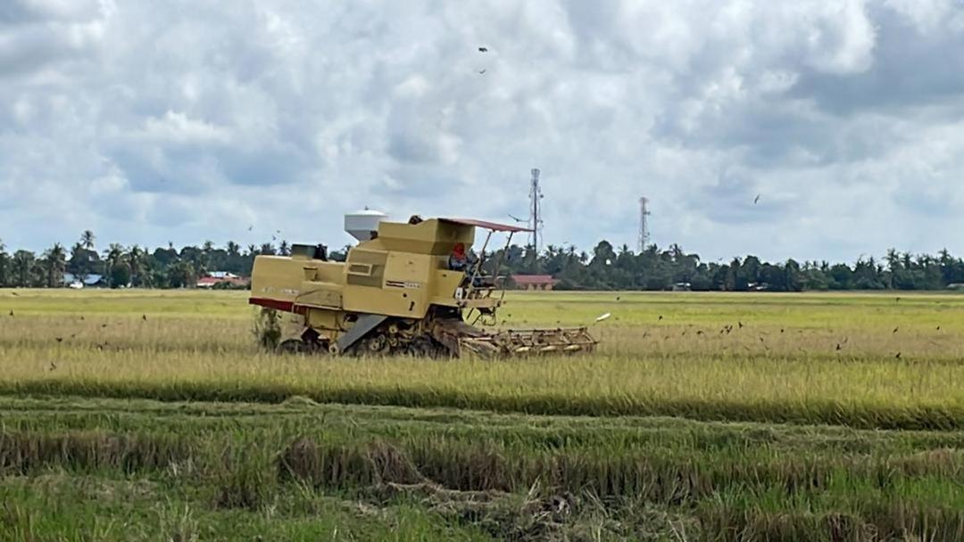 Izz Homestay Sawah Padi Sungai Besar ! Экстерьер фото