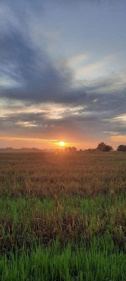 Izz Homestay Sawah Padi Sungai Besar ! Экстерьер фото