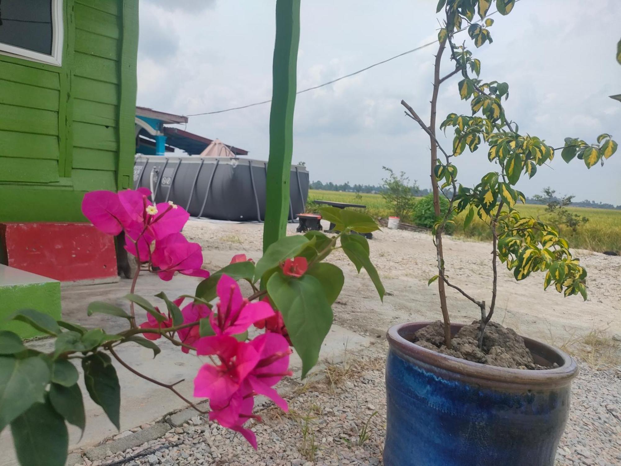 Izz Homestay Sawah Padi Sungai Besar ! Экстерьер фото