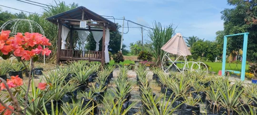 Izz Homestay Sawah Padi Sungai Besar ! Номер фото