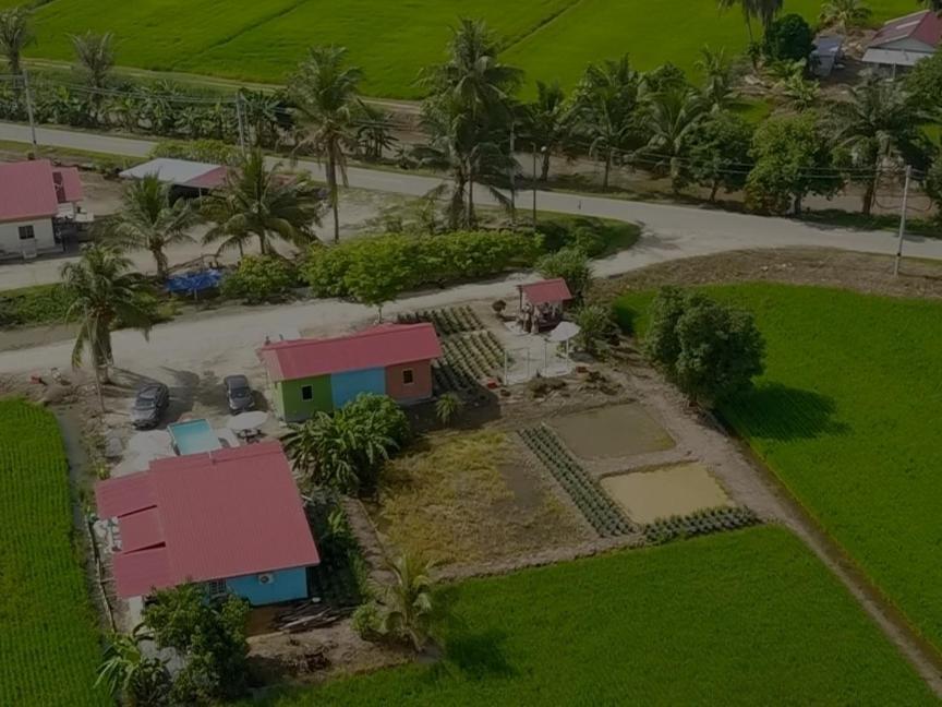 Izz Homestay Sawah Padi Sungai Besar ! Экстерьер фото