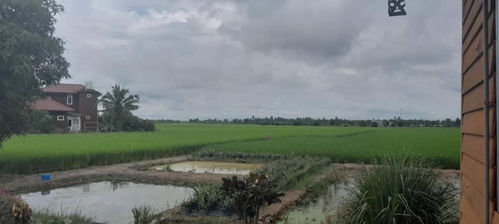 Izz Homestay Sawah Padi Sungai Besar ! Экстерьер фото