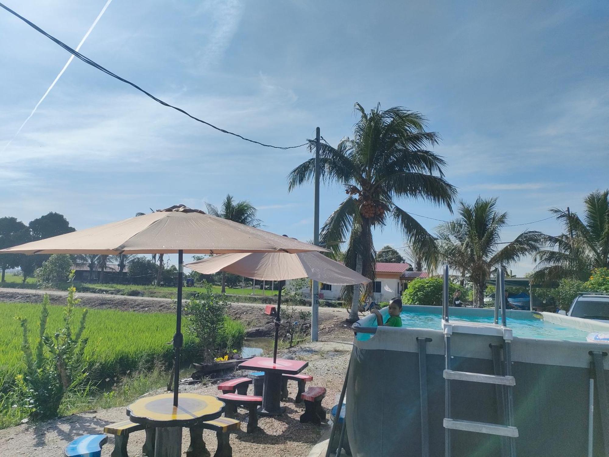 Izz Homestay Sawah Padi Sungai Besar ! Экстерьер фото